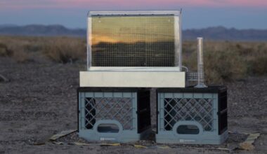 These devices harvest drinking water from air even in the planet’s driest places. Critics say they’re an expensive distraction