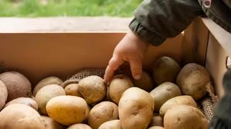 France: Potato growers give away their produce due to price freezes