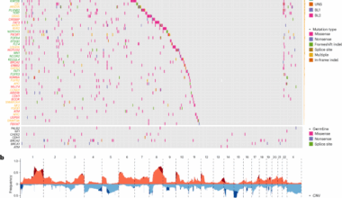 Mutational landscape of triple-negative breast cancer in African American women
