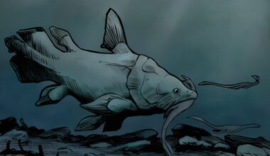 Multiple new species of 'living fossil' fish found hiding in plain sight after more than 150 years