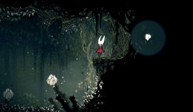 Where To Find All Mask Shards In Hollow Knight: Silksong