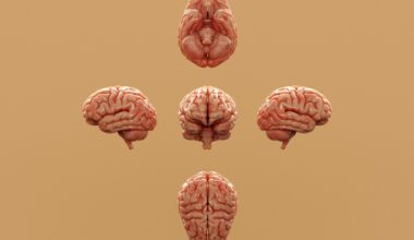 How evolution explains autism rates in humans