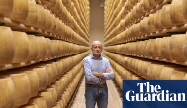 Where there’s a will there’s a whey: cheese producers lean into their craft as Trump tariffs bite | Italy