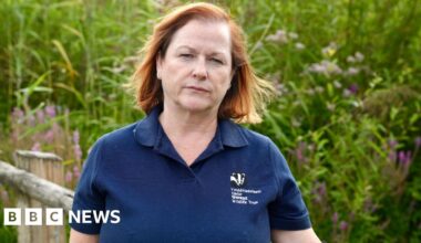 Solar farms threaten rare wildlife, say nature campaigners