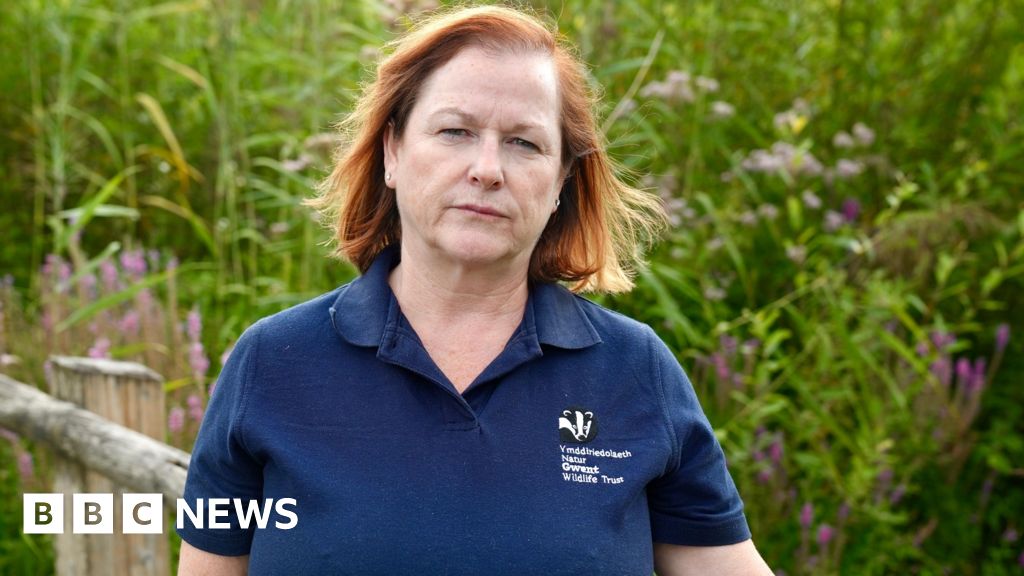 Solar farms threaten rare wildlife, say nature campaigners