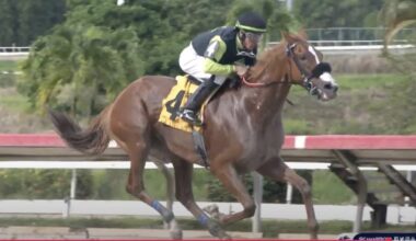 "The Den of Despair" - Horseracing Wrongs