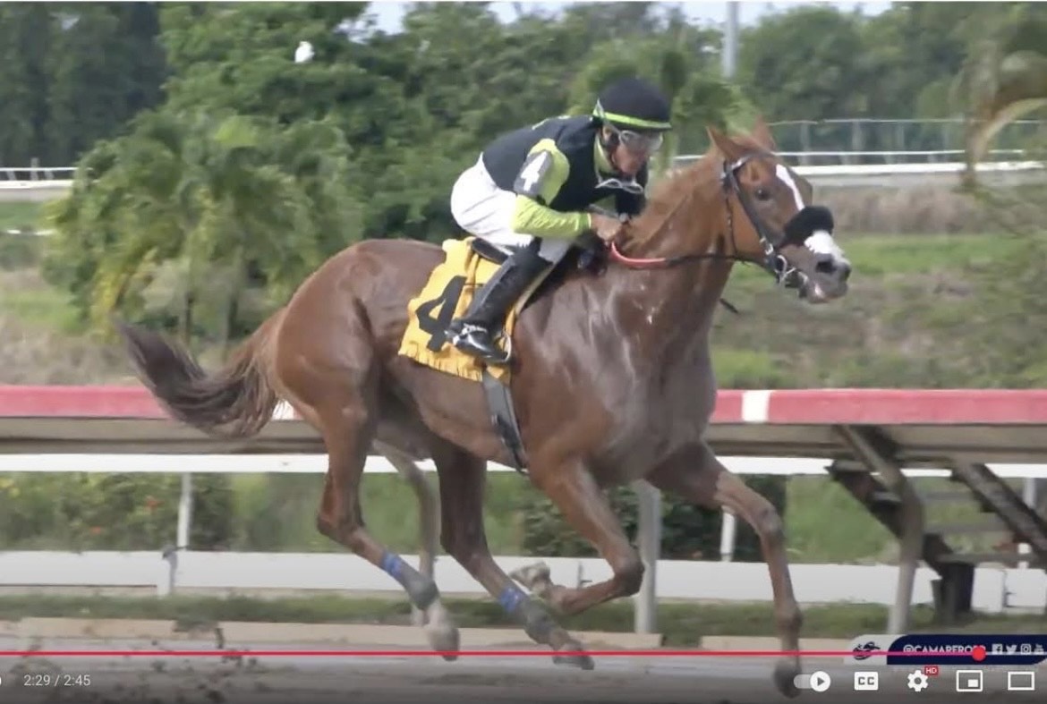 "The Den of Despair" - Horseracing Wrongs