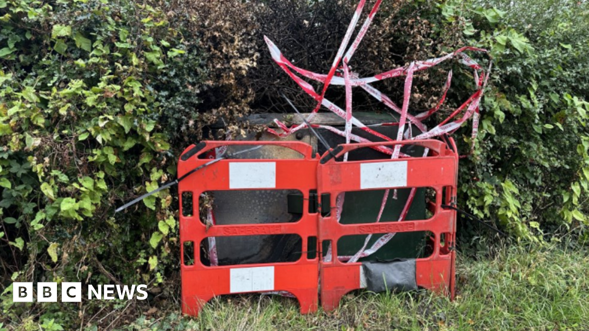 Illuminated: The Cat Killer Detectives