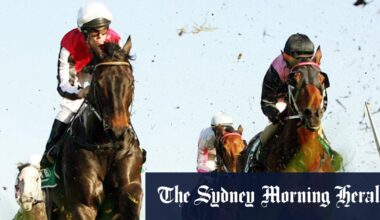 Race-by-race preview and tips for Friday’s meeting at Tuncurry