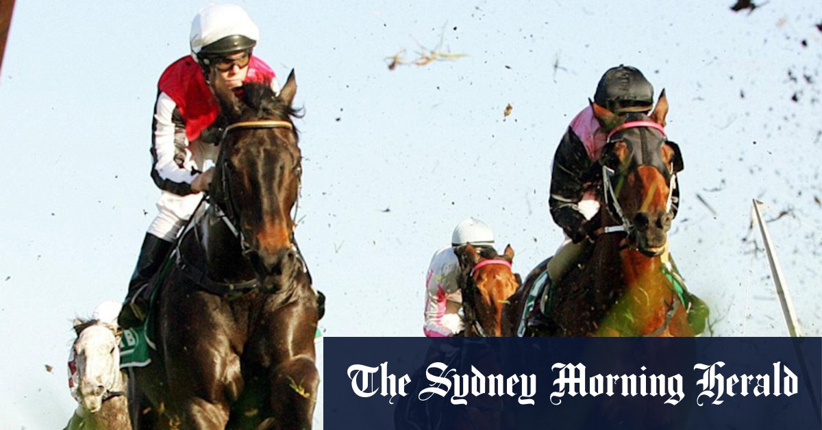 Race-by-race preview and tips for Friday’s meeting at Tuncurry