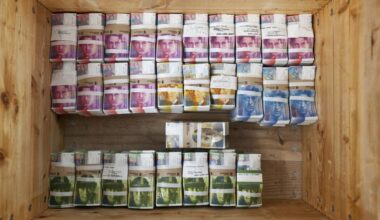 With US in retreat, can Switzerland maintain fight against kleptocracy? 