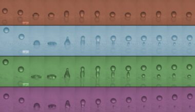 The physics of speed and size