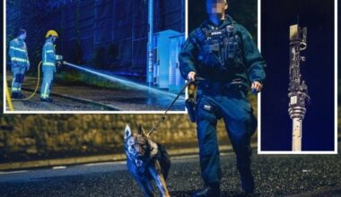 Another man arrested after targeting of 5G masts across Belfast