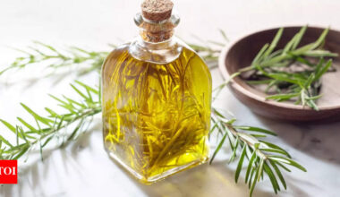 Rosemary Oil for Hair Growth: Natural Remedy That Actually Works |