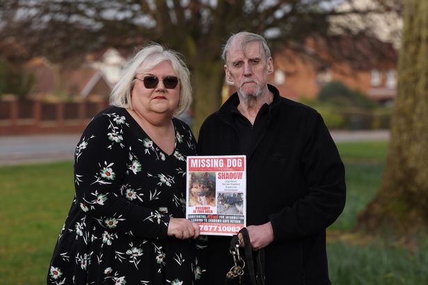 Lynn and Terry Maher who's dog Shadow vanished 160 days ago
