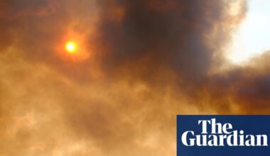 ‘When the forests burn, the sickness comes’: how protecting trees shields millions from disease | Amazon rainforest