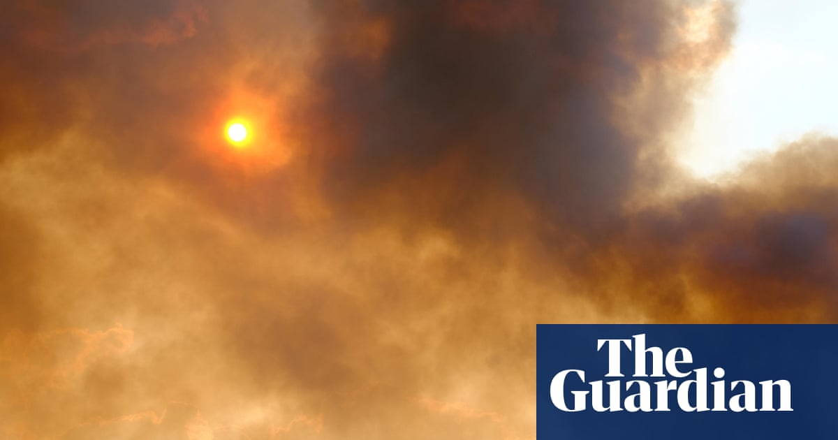 ‘When the forests burn, the sickness comes’: how protecting trees shields millions from disease | Amazon rainforest