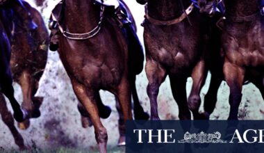 Race-by-race preview and tips for Monday meeting at Muswellbrook