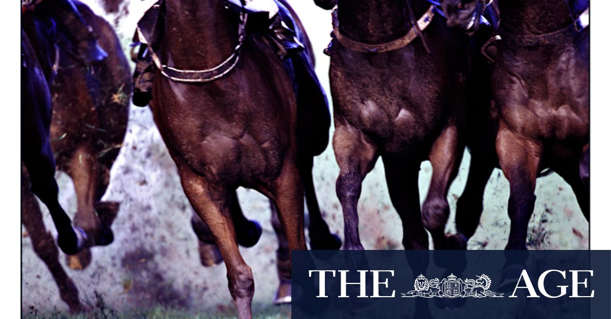 Race-by-race preview and tips for Monday meeting at Muswellbrook