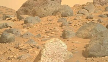 Mars Perseverance rover data suggests presence of past microbial life