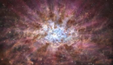 Supermassive black holes shrouded by dust in the early universe