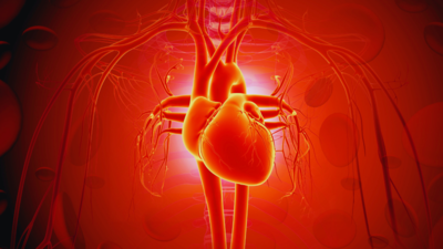 Not red meat, not butter: These 5 everyday habits may be causing heart attacks