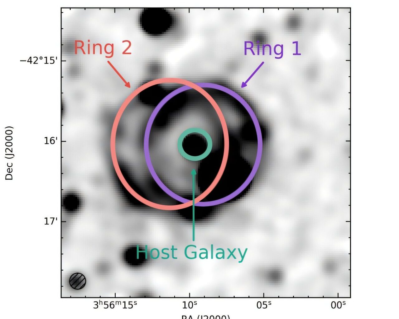 Observations investigate the nature of a newly discovered odd radio circle