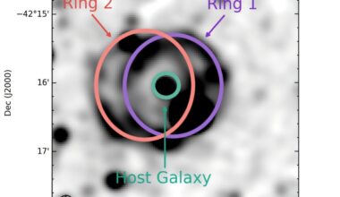 Observations investigate the nature of a newly discovered odd radio circle