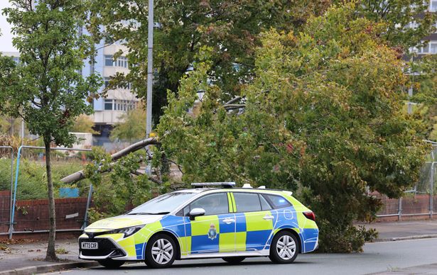 Tree down in the strong winds on Merton Road, Bootle