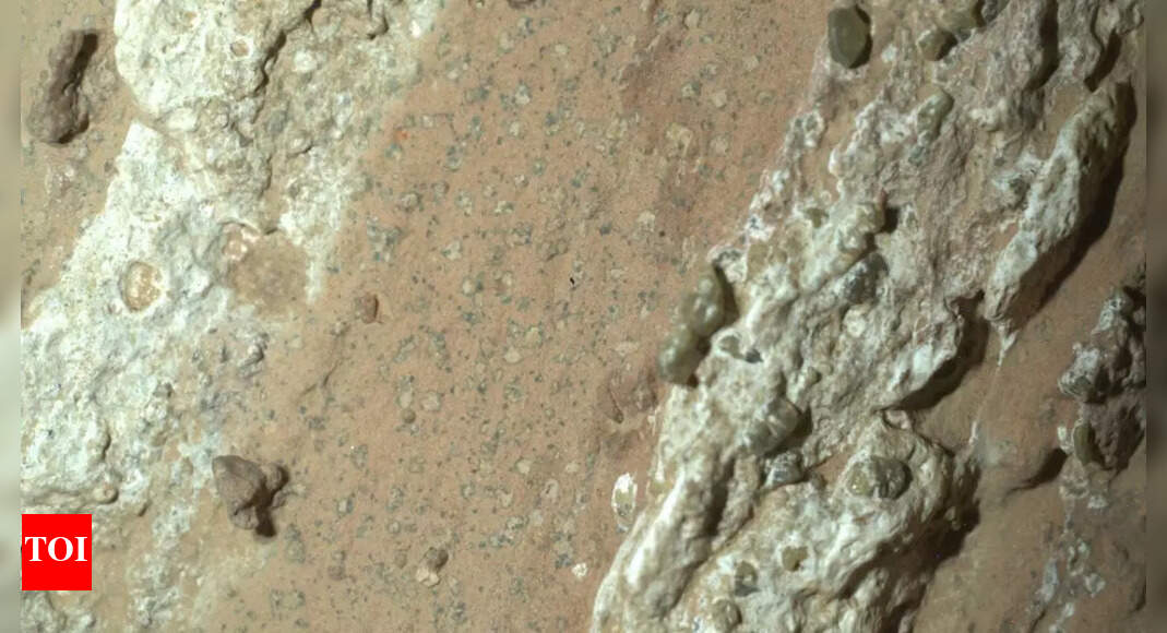 Life on Mars: NASA rover discovers strongest sign of life on Mars to date; all you need to know |