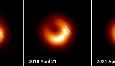 New images reveal unexpected polarization flips near M87's supermassive black hole