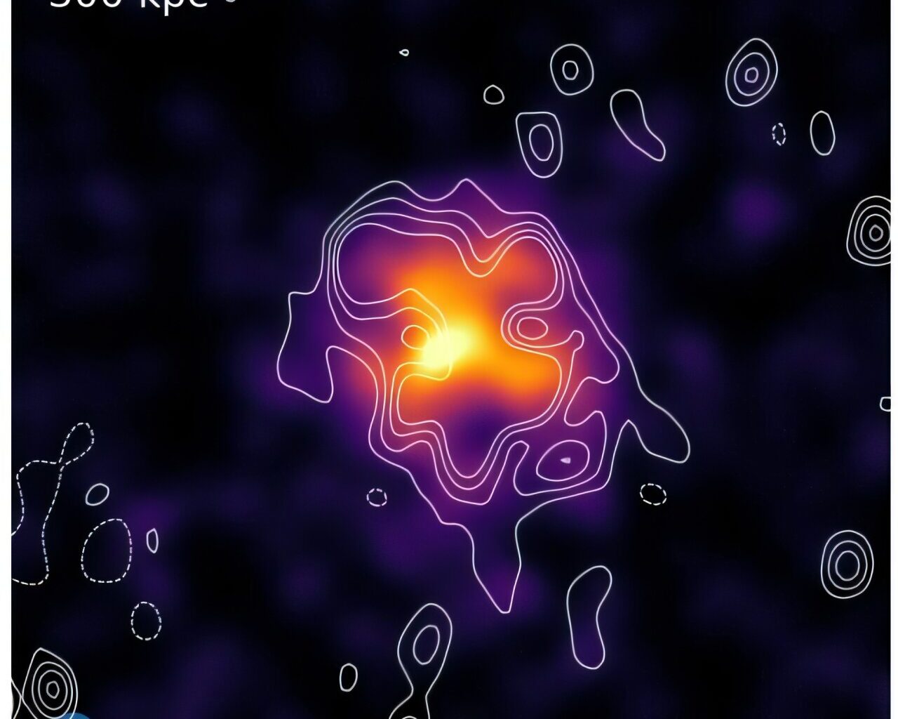 New radio halo discovered with MeerKAT