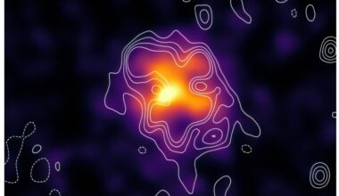 New radio halo discovered with MeerKAT