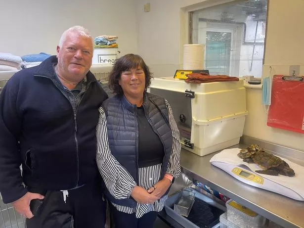 The GSPCA team are now overjoyed she will finally be returning to the wild near the Azores - following two years of delays