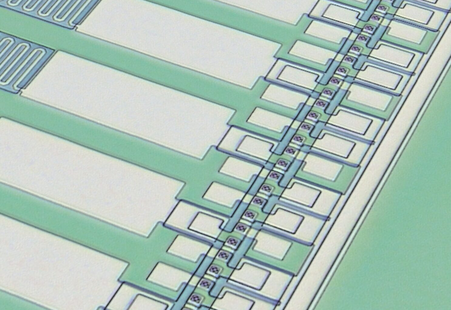 Single device amplifies signals while shielding qubits from unwanted noise