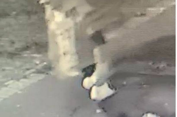 The Extraction Action Alliance's field studies boat the Lady Kate was let loose on Bristol's Floating Harbour by a mystery man captured on CCTV
