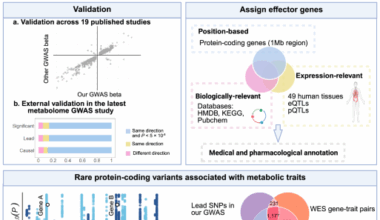 Genetic architecture of plasma metabolome in 254,825 individuals