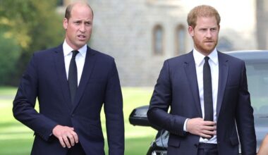 Prince Harry and Prince William to reconcile 'in the…