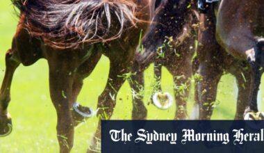 Trainer Keith Dryden looks to the future with Sweet Warrior