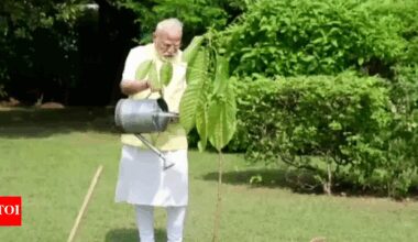 Watch: PM Modi plants a Kadamb sapling; King Charles gifted it on his birthday | India News