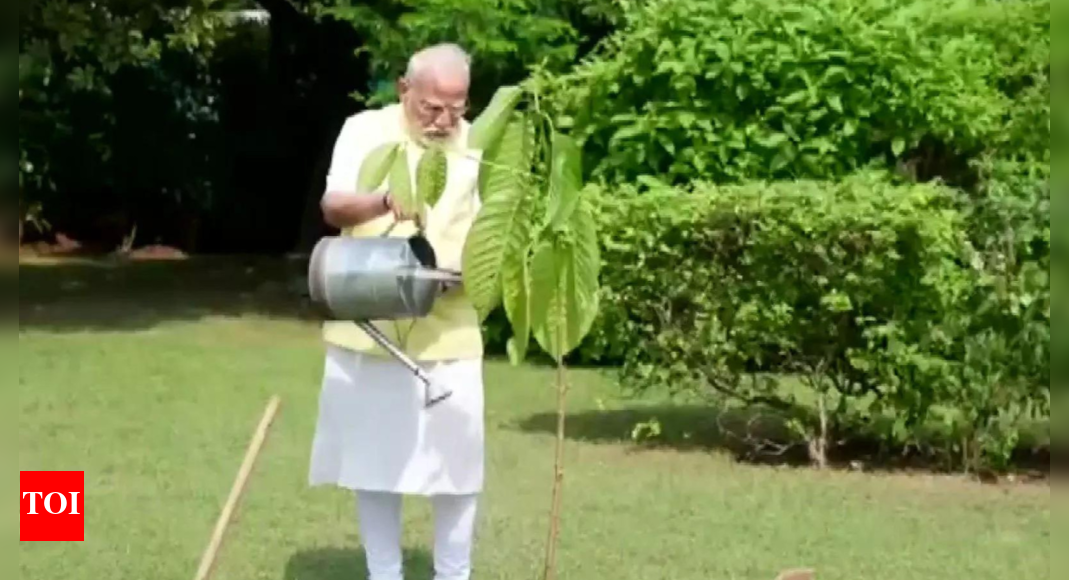 Watch: PM Modi plants a Kadamb sapling; King Charles gifted it on his birthday | India News