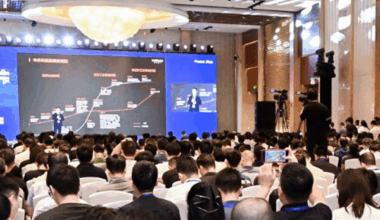 Domesticization Hopes Sprouting in the Era of Large Models