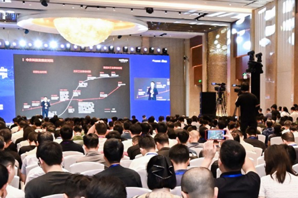 Domesticization Hopes Sprouting in the Era of Large Models
