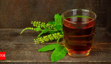 Tulsi Water Benefits: 7 reasons to have Tulsi water first thing in the morning |