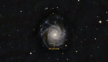 Observations explore a rare type Iax supernova