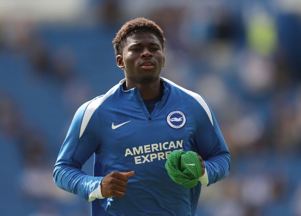 Carlos Baleba of Brighton & Hove Albion
