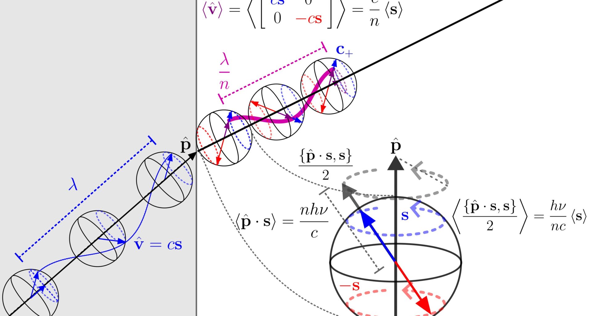 Spin may resolve century-old puzzle of light's momentum in matter