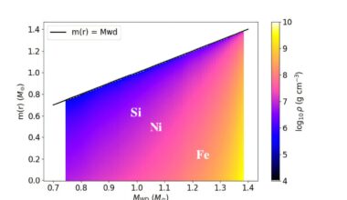 Primordial black holes may trigger Type Ia supernovae without companion stars