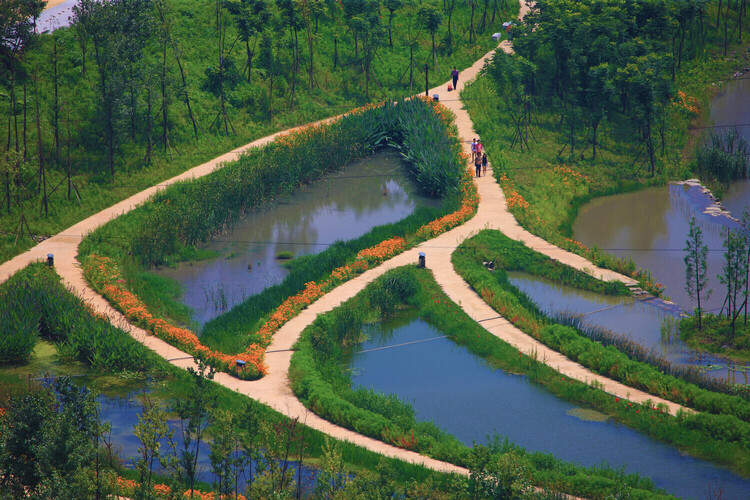 Kongjian Yu, Creator of the Sponge City Concept, Passes Away in Brazil Plane Crash - Image 4 of 6
