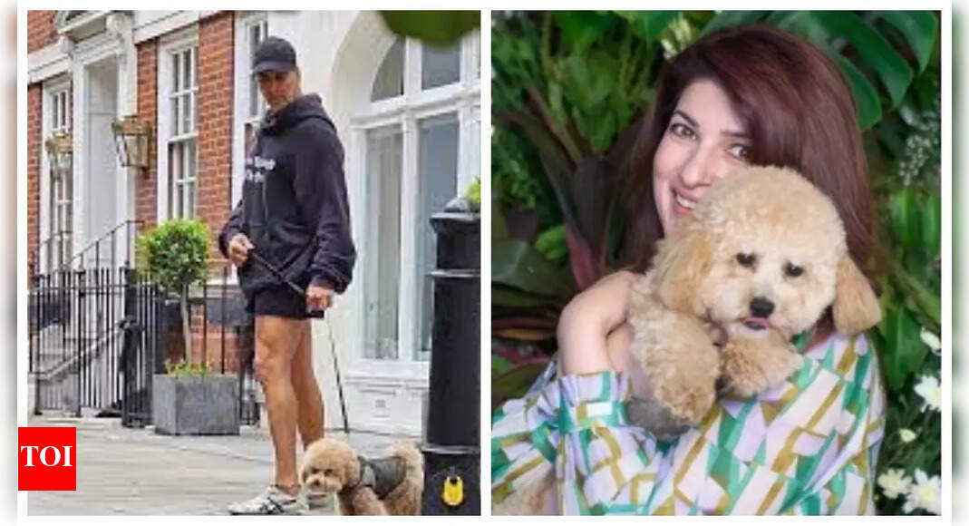 Akshay Kumar’s pet dog Jeeves moves from London to Mumbai, staff give him an adorable nickname; fans call it, 'typical Marathi ghar thing' |